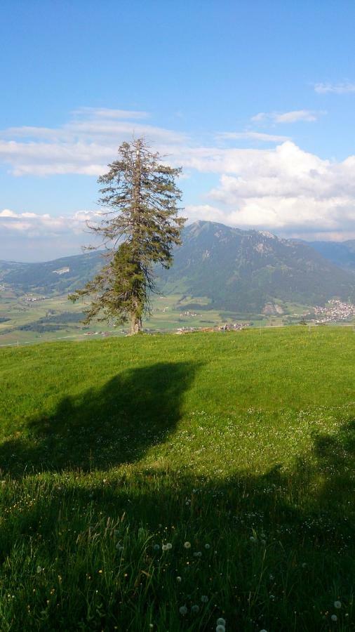 Ferienwohnung Schoenau Immenstadt im Allgäu Екстериор снимка